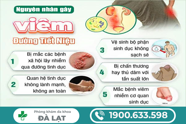 Hình ảnh minh họa